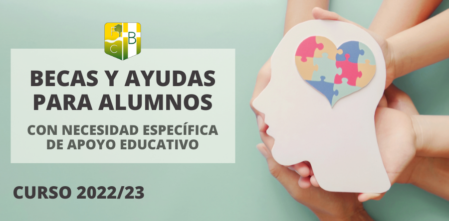 Becas-y-ayudas-para-alumnos-con-necesidad-especifica-de-apoyo-educativo-ACNEAE-curso-2022-23-Fundacion-Colegio-Berriz